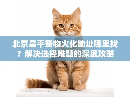 北京昌平宠物火化地址哪里找？解决选择难题的深度攻略