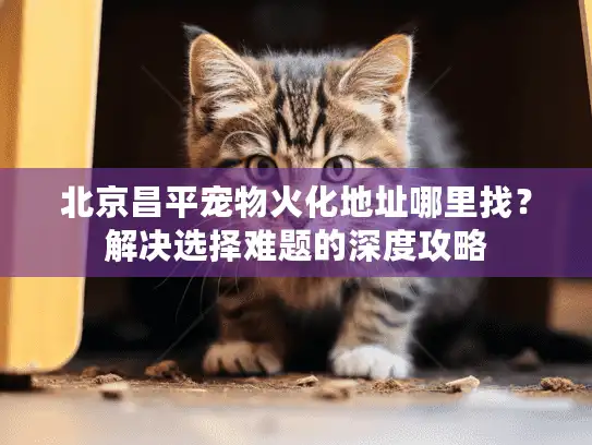 北京昌平宠物火化地址哪里找？解决选择难题的深度攻略