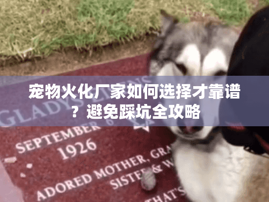宠物火化厂家如何选择才靠谱？避免踩坑全攻略