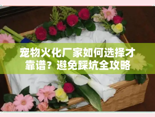 宠物火化厂家如何选择才靠谱？避免踩坑全攻略
