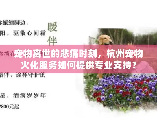 宠物离世的悲痛时刻,杭州宠物火化服务如何提供专业支持? 宠物离世的悲痛时刻,杭州宠物火化服务如何提供专业支持?