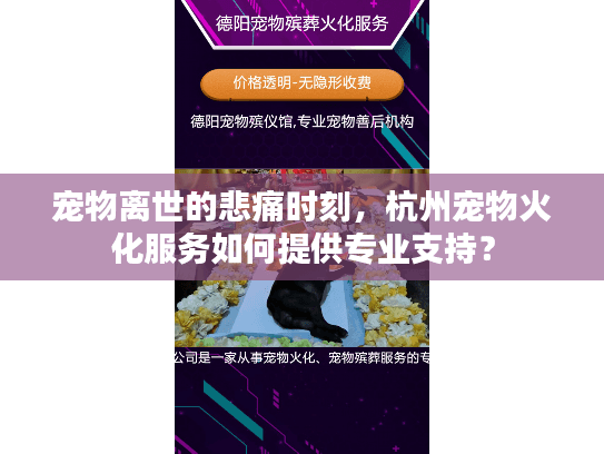 宠物离世的悲痛时刻,杭州宠物火化服务如何提供专业支持? 宠物离世的悲痛时刻,杭州宠物火化服务如何提供专业支持?