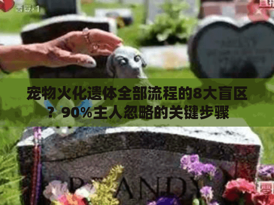 宠物火化遗体全部流程的8大盲区?90%主人忽略的关键步骤 宠物火化遗体全部流程的8大盲区?90%主人忽略的关键步骤