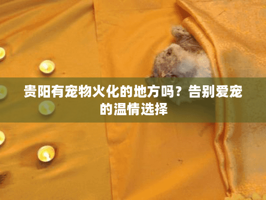 贵阳有宠物火化的地方吗？告别爱宠的温情选择