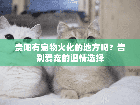 贵阳有宠物火化的地方吗？告别爱宠的温情选择