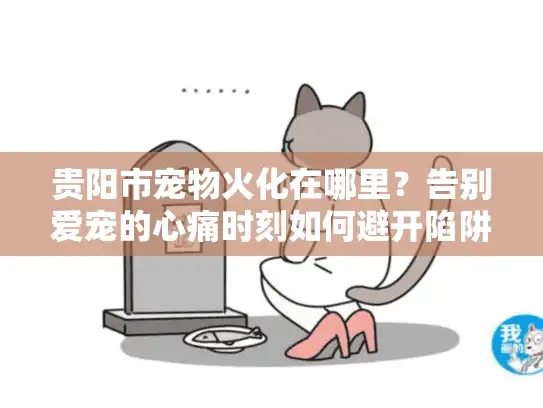 贵阳市宠物火化在哪里?告别爱宠的心痛时刻如何避开陷阱选服务 贵阳市宠物火化在哪里?告别爱宠的心痛时刻如何避开陷阱选服务
