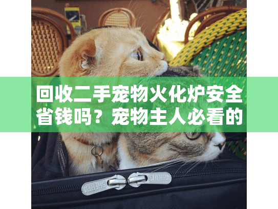 回收二手宠物火化炉安全省钱吗？宠物主人必看的避坑秘籍