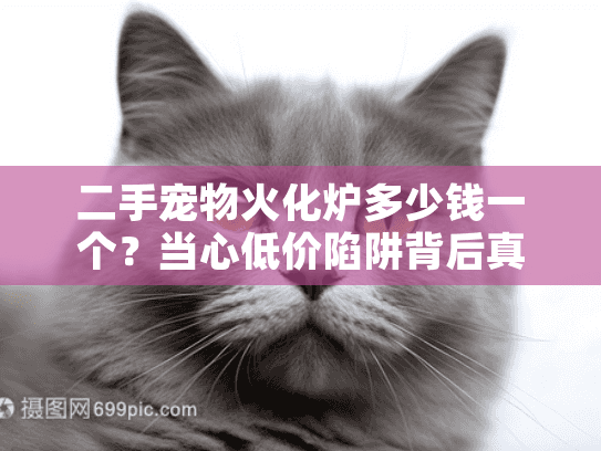 二手宠物火化炉多少钱一个？当心低价陷阱背后真相