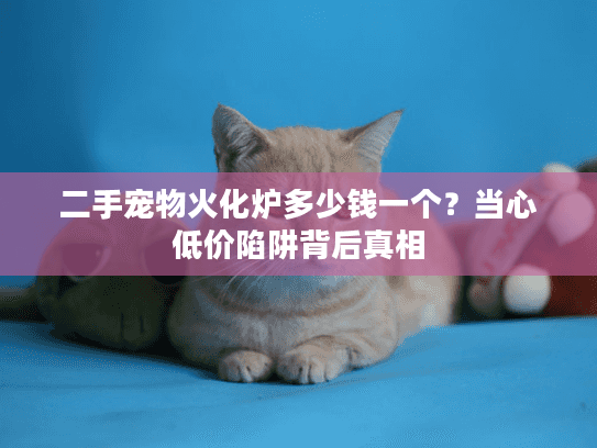 二手宠物火化炉多少钱一个？当心低价陷阱背后真相