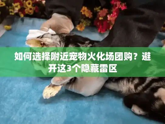 如何选择附近宠物火化场团购？避开这3个隐藏雷区
