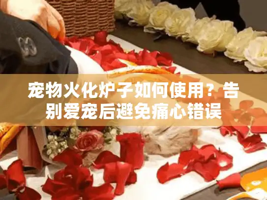 宠物火化炉子如何使用?告别爱宠后避免痛心错误 宠物火化炉子如何使用?告别爱宠后避免痛心错误