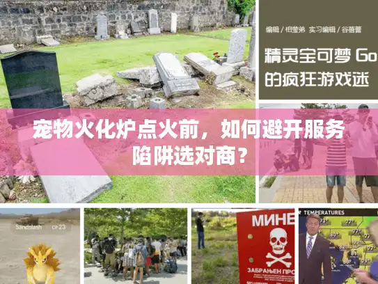 宠物火化炉点火前,如何避开服务陷阱选对商? 宠物火化炉点火前,如何避开服务陷阱选对商?