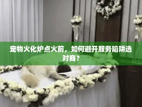 宠物火化炉点火前,如何避开服务陷阱选对商? 宠物火化炉点火前,如何避开服务陷阱选对商?