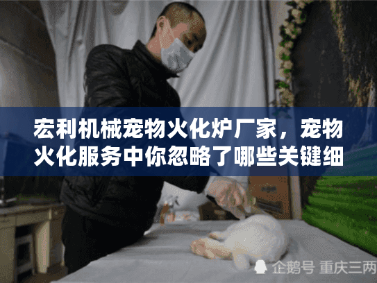 宏利机械宠物火化炉厂家，宠物火化服务中你忽略了哪些关键细节？