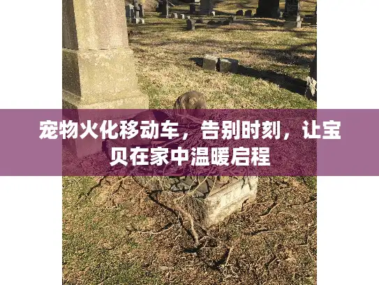 宠物火化移动车,告别时刻,让宝贝在家中温暖启程 宠物火化移动车,告别时刻,让宝贝在家中温暖启程