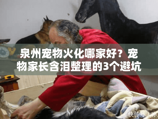 泉州宠物火化哪家好?宠物家长含泪整理的3个避坑真相 泉州宠物火化哪家好?宠物家长含泪整理的3个避坑真相