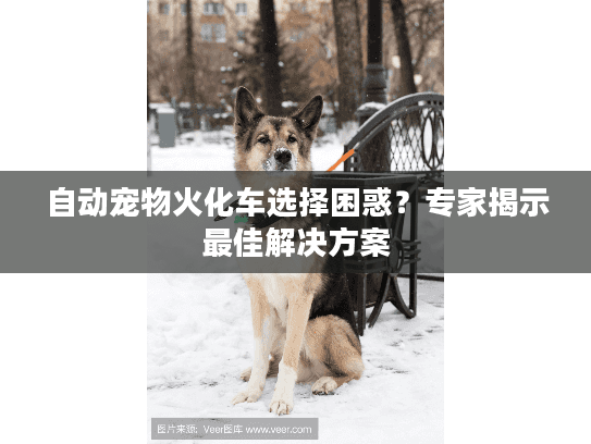 自动宠物火化车选择困惑？专家揭示最佳解决方案