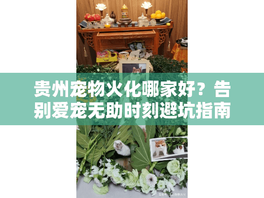 贵州宠物火化哪家好？告别爱宠无助时刻避坑指南
