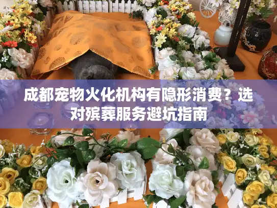 成都宠物火化机构有隐形消费？选对殡葬服务避坑指南