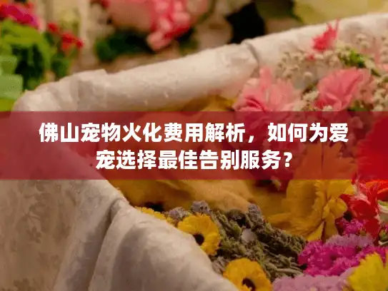 佛山宠物火化费用解析，如何为爱宠选择最佳告别服务？