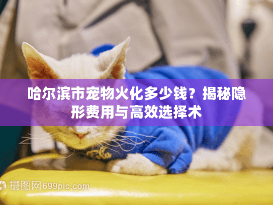 哈尔滨市宠物火化多少钱？揭秘隐形费用与高效选择术