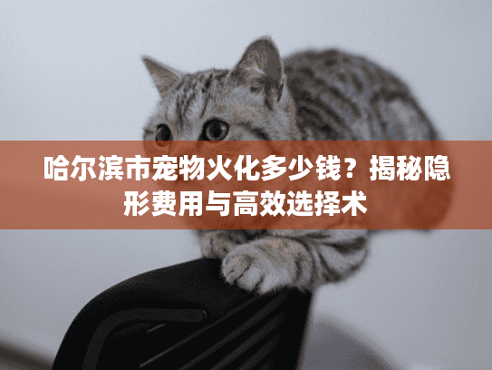 哈尔滨市宠物火化多少钱？揭秘隐形费用与高效选择术