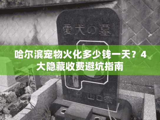 哈尔滨宠物火化多少钱一天？4大隐藏收费避坑指南