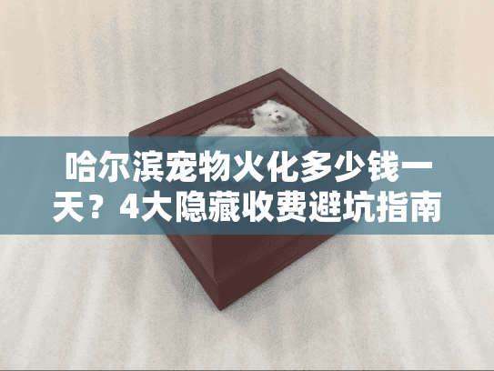 哈尔滨宠物火化多少钱一天？4大隐藏收费避坑指南