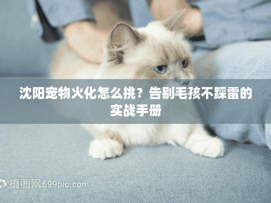 沈阳宠物火化怎么挑？告别毛孩不踩雷的实战手册