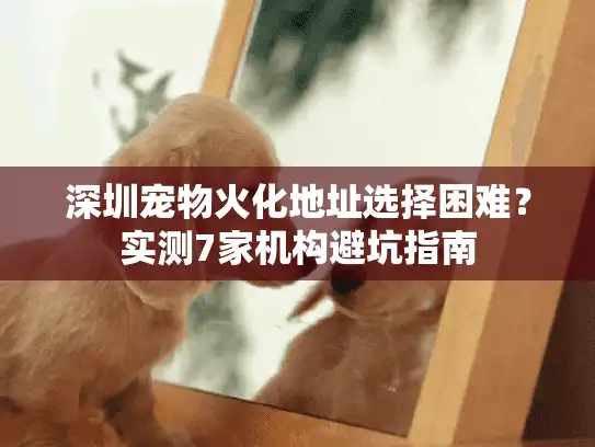 深圳宠物火化地址选择困难？实测7家机构避坑指南