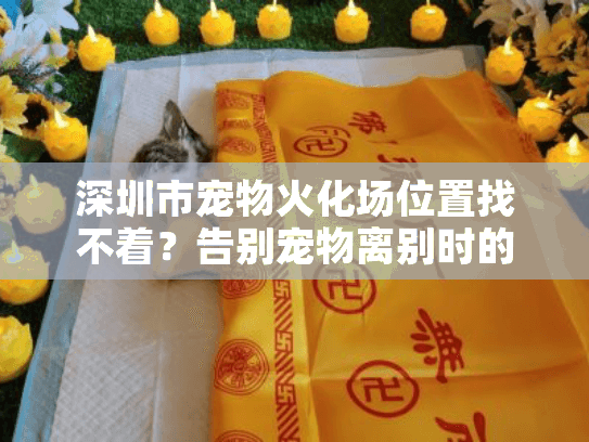 深圳市宠物火化场位置找不着？告别宠物离别时的迷茫选择