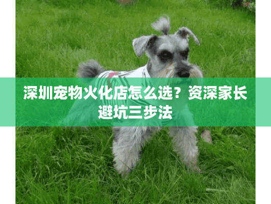 深圳宠物火化店怎么选？资深家长避坑三步法