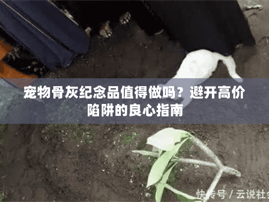 宠物骨灰纪念品值得做吗?避开高价陷阱的良心指南 宠物骨灰纪念品值得做吗?避开高价陷阱的良心指南