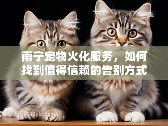 南宁宠物火化服务,如何找到值得信赖的告别方式? 南宁宠物火化服务,如何找到值得信赖的告别方式?
