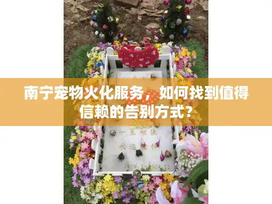 南宁宠物火化服务,如何找到值得信赖的告别方式? 南宁宠物火化服务,如何找到值得信赖的告别方式?