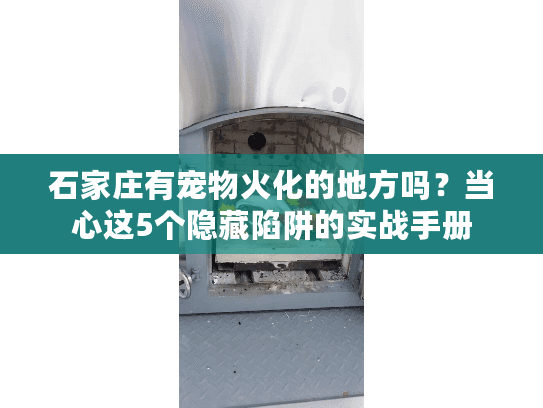 石家庄有宠物火化的地方吗？当心这5个隐藏陷阱的实战手册