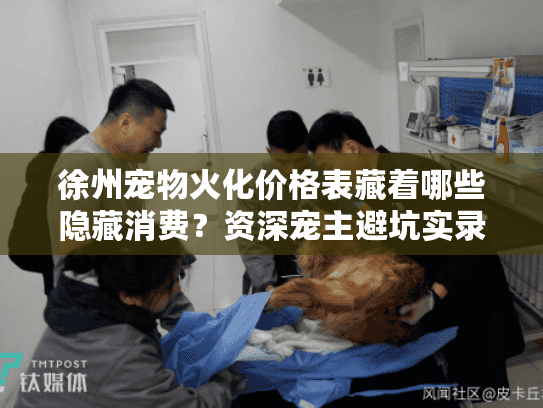 徐州宠物火化价格表藏着哪些隐藏消费？资深宠主避坑实录