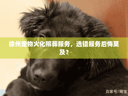 徐州宠物火化殡葬服务，选错服务后悔莫及？
