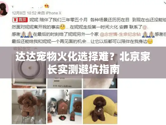 达达宠物火化选择难？北京家长实测避坑指南