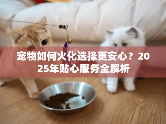 宠物如何火化选择更安心？2025年贴心服务全解析