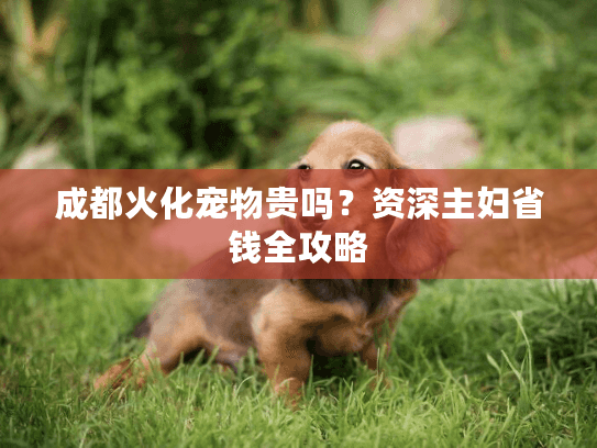 成都火化宠物贵吗？资深主妇省钱全攻略