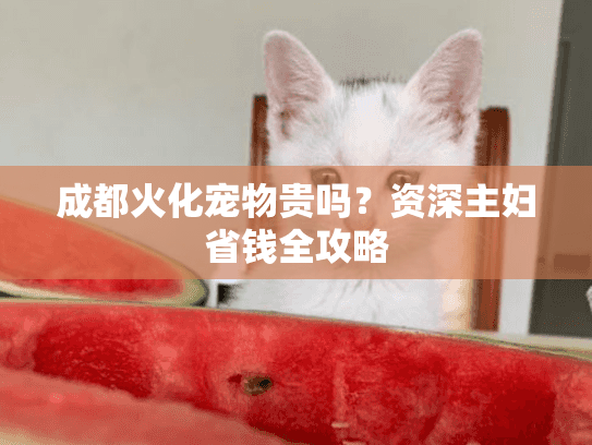 成都火化宠物贵吗？资深主妇省钱全攻略