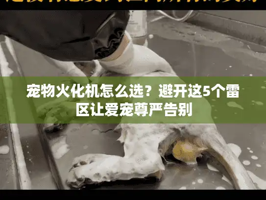 宠物火化机怎么选？避开这5个雷区让爱宠尊严告别