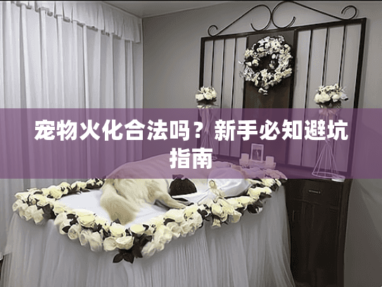 宠物火化合法吗？新手必知避坑指南