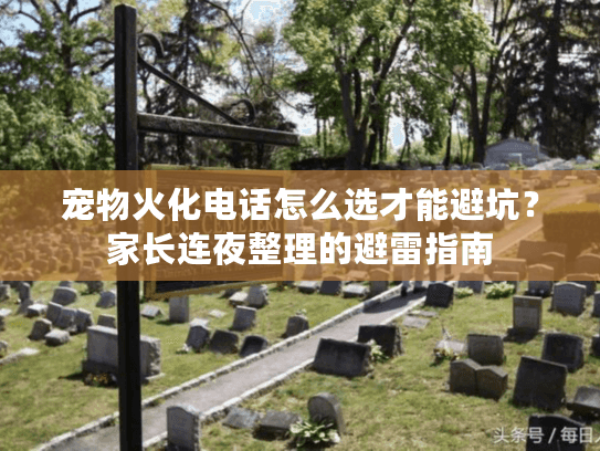 宠物火化电话怎么选才能避坑？家长连夜整理的避雷指南