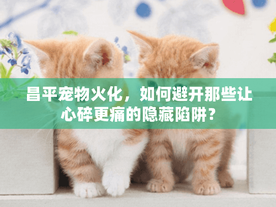 昌平宠物火化，如何避开那些让心碎更痛的隐藏陷阱？