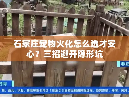 石家庄宠物火化怎么选才安心？三招避开隐形坑