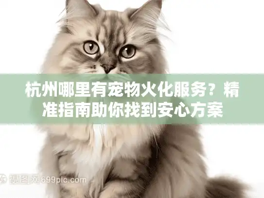 杭州哪里有宠物火化服务？精准指南助你找到安心方案
