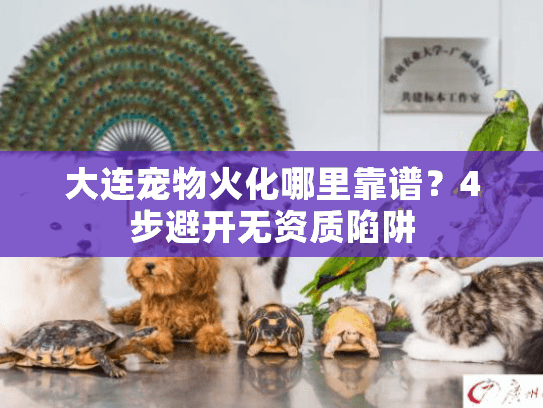 大连宠物火化哪里靠谱？4步避开无资质陷阱