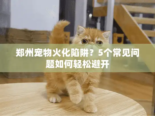 郑州宠物火化陷阱?5个常见问题如何轻松避开 郑州宠物火化陷阱?5个常见问题如何轻松避开